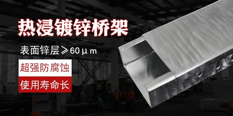 熱浸鋅橋架應(yīng)用案例-上海巴斯夫化工廠廠房